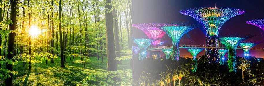 Natürliches Sonnenlicht versus künstliches Licht 